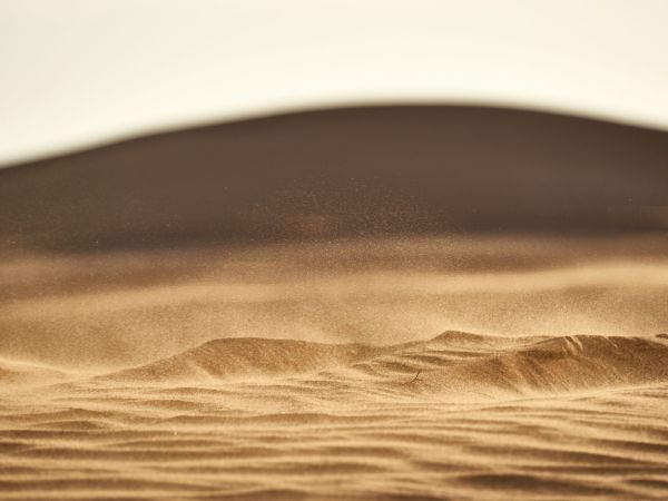 Saharazand op zonnepanelen